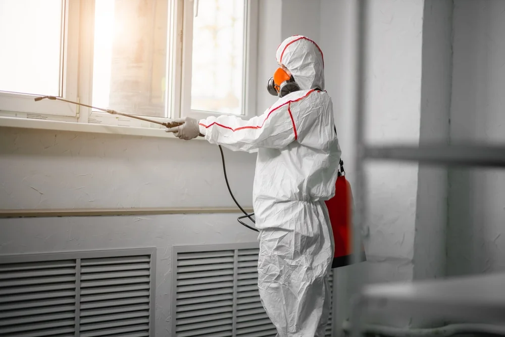 Professional mold remediation services in Brillion, WI